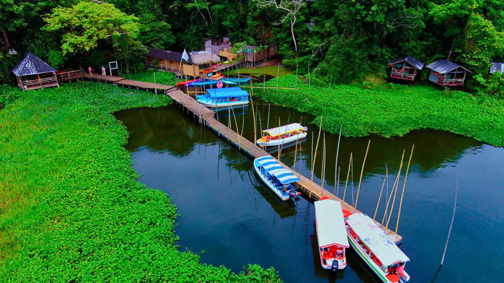 Reserva de Nanciyaga, Los Tuxtlas